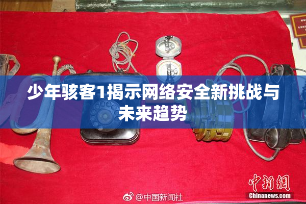 少年骇客1揭示网络安全新挑战与未来趋势