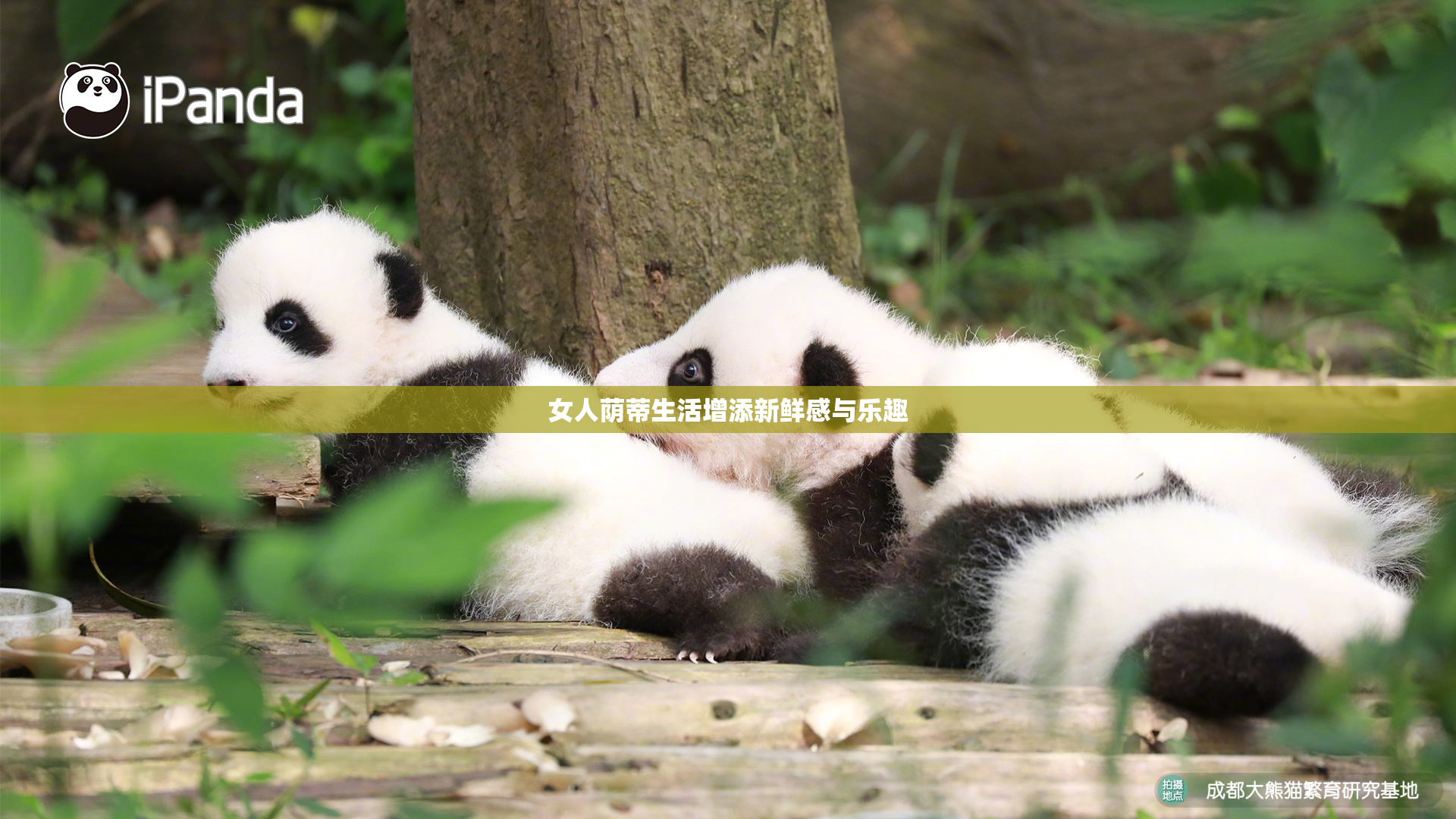 女人荫蒂生活增添新鲜感与乐趣