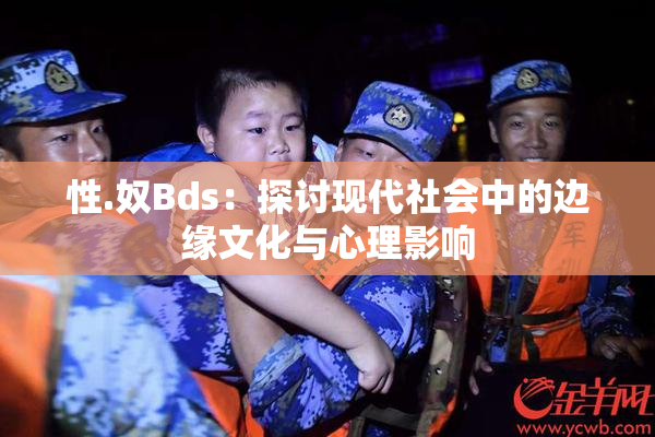 性.奴Bds：探讨现代社会中的边缘文化与心理影响