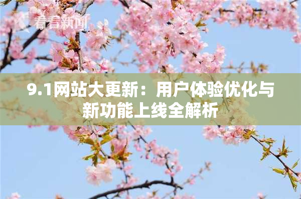 9.1网站大更新：用户体验优化与新功能上线全解析
