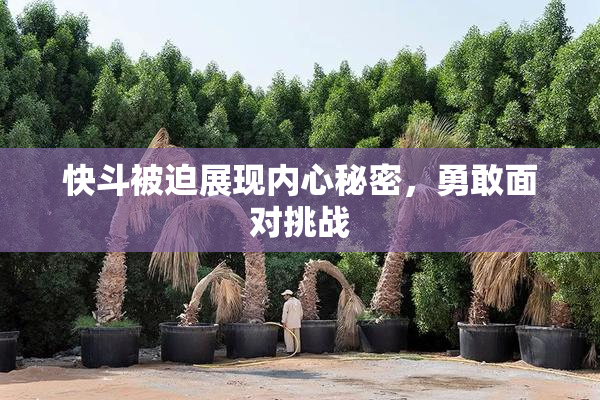 快斗被迫展现内心秘密，勇敢面对挑战