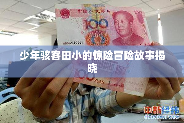 少年骇客田小的惊险冒险故事揭晓