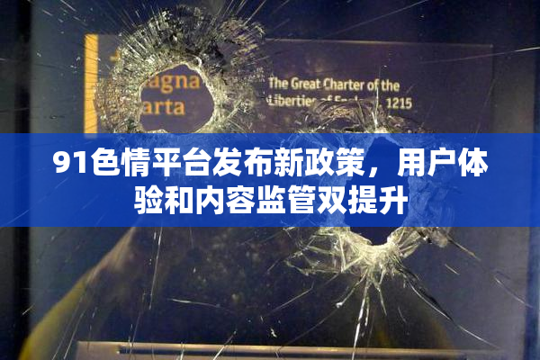 91色情平台发布新政策，用户体验和内容监管双提升