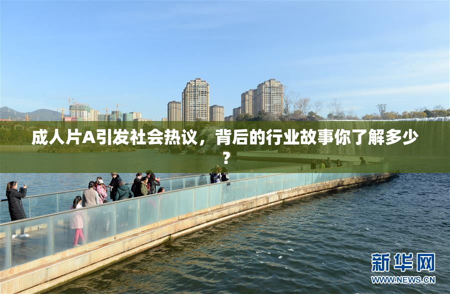 成人片A引发社会热议，背后的行业故事你了解多少？