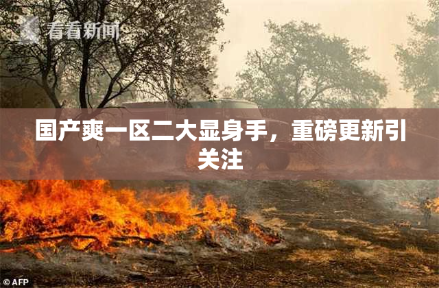 国产爽一区二大显身手，重磅更新引关注