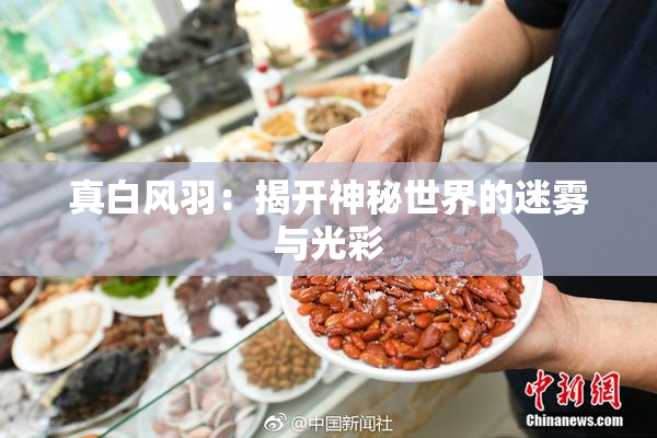 真白风羽：揭开神秘世界的迷雾与光彩