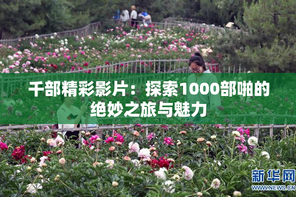 千部精彩影片：探索1000部啪的绝妙之旅与魅力