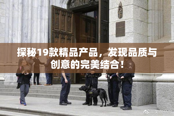 探秘19款精品产品，发现品质与创意的完美结合！