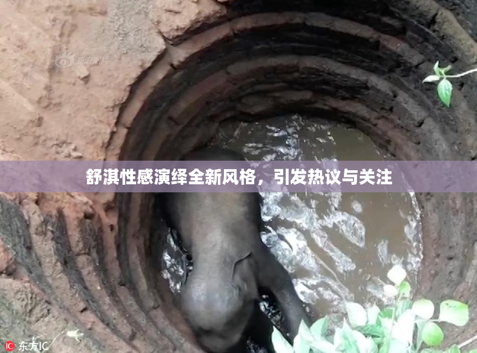 舒淇性感演绎全新风格，引发热议与关注