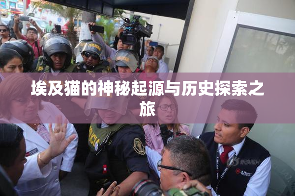 埃及猫的神秘起源与历史探索之旅