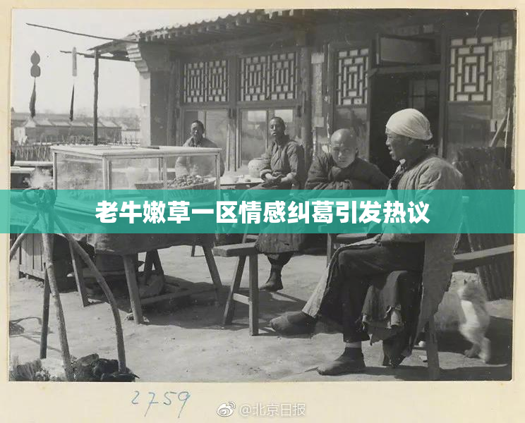 老牛嫩草一区情感纠葛引发热议