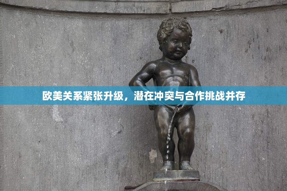 欧美关系紧张升级，潜在冲突与合作挑战并存