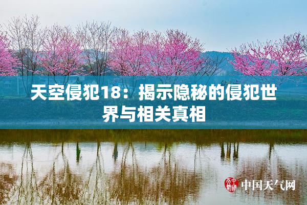 天空侵犯18：揭示隐秘的侵犯世界与相关真相