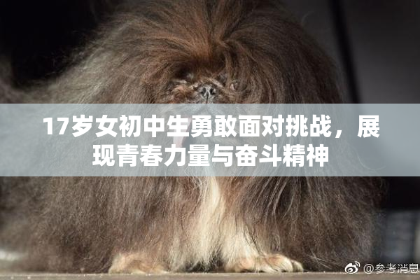 17岁女初中生勇敢面对挑战，展现青春力量与奋斗精神