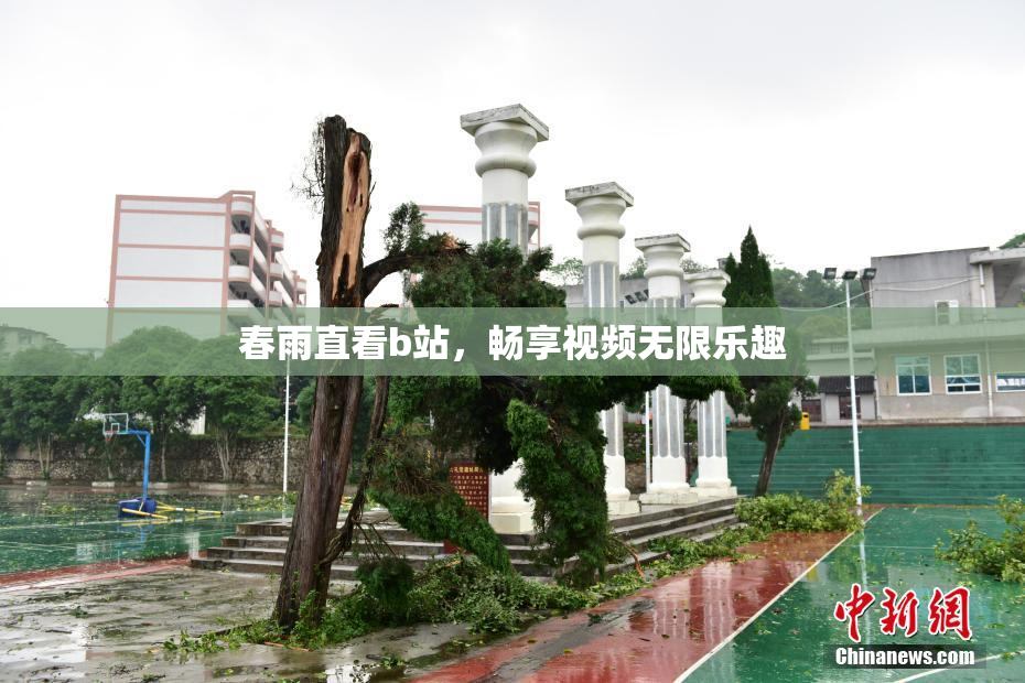 春雨直看b站，畅享视频无限乐趣