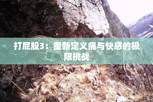打屁股3：重新定义痛与快感的极限挑战