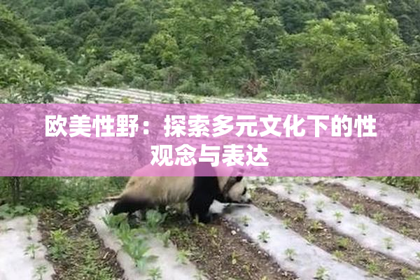欧美性野：探索多元文化下的性观念与表达