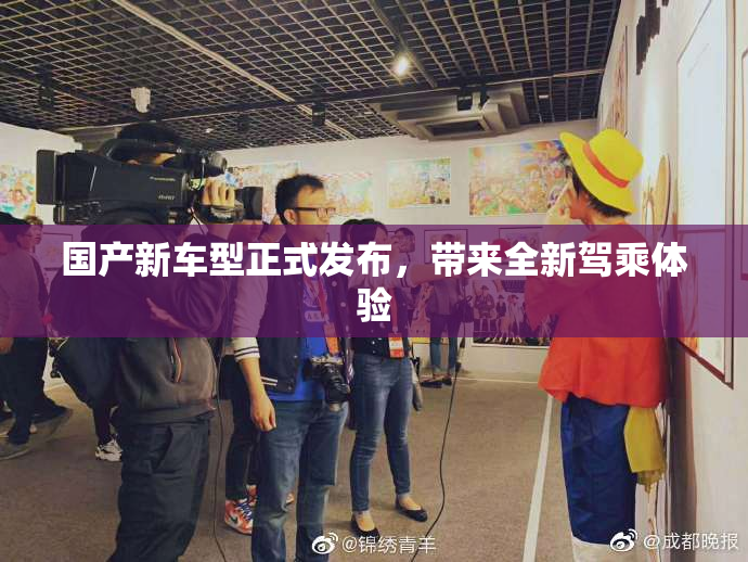 国产新车型正式发布，带来全新驾乘体验