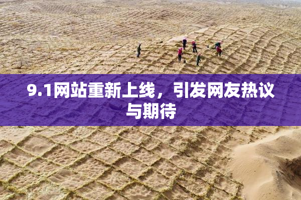 9.1网站重新上线，引发网友热议与期待