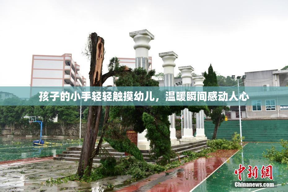 孩子的小手轻轻触摸幼儿，温暖瞬间感动人心