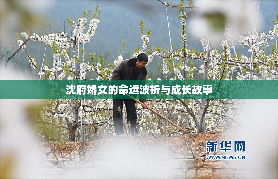 沈府娇女的命运波折与成长故事