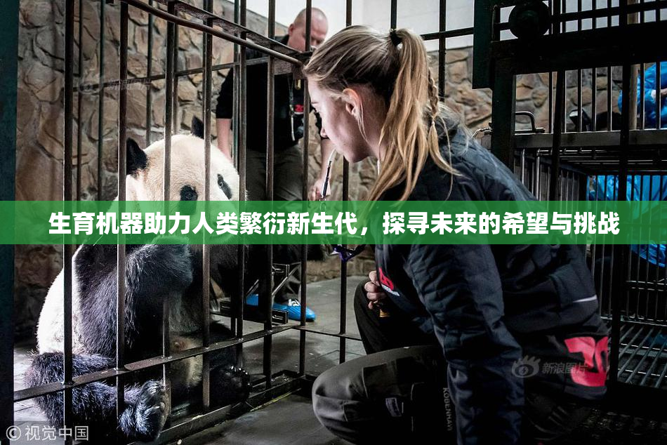 生育机器助力人类繁衍新生代，探寻未来的希望与挑战