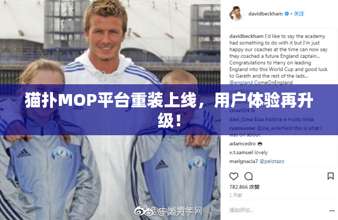 猫扑MOP平台重装上线，用户体验再升级！