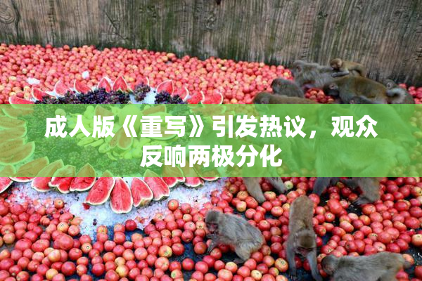 成人版《重写》引发热议，观众反响两极分化