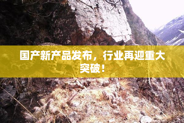 国产新产品发布，行业再迎重大突破！