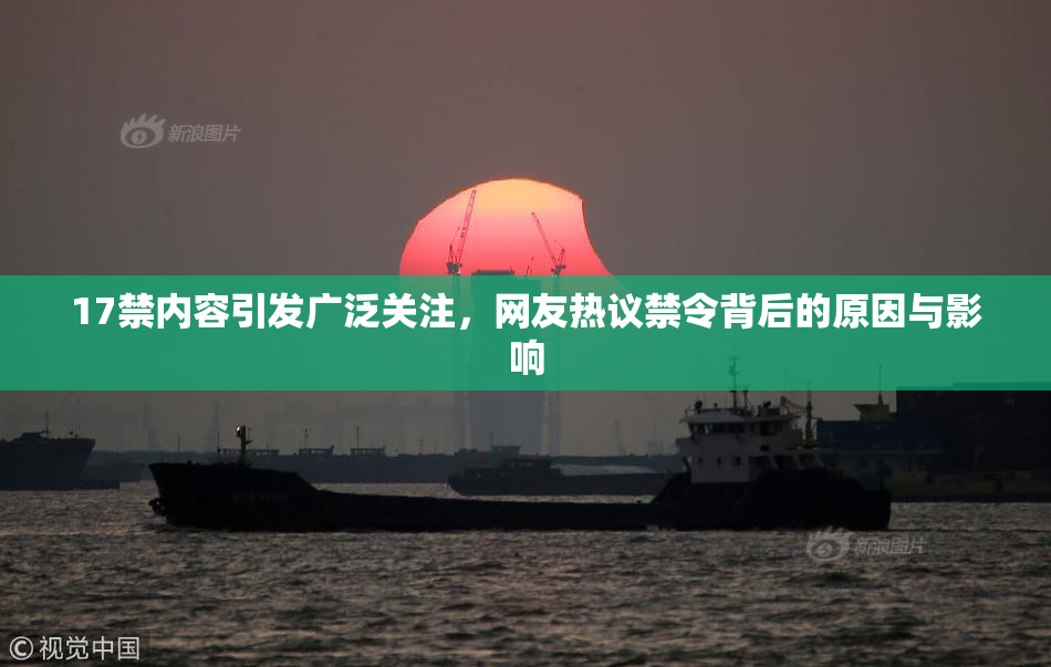 17禁内容引发广泛关注，网友热议禁令背后的原因与影响