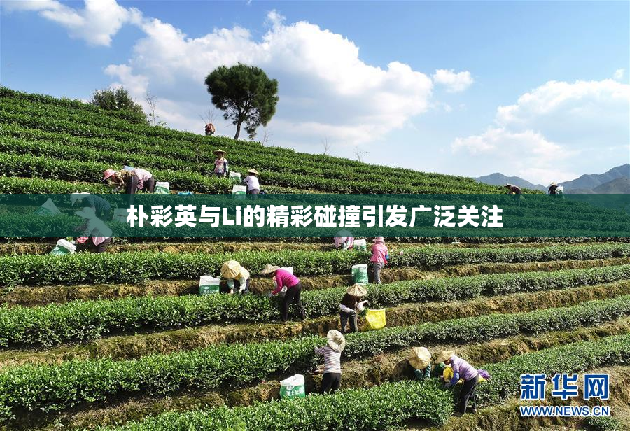 朴彩英与Li的精彩碰撞引发广泛关注