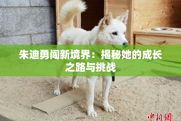 朱迪勇闯新境界：揭秘她的成长之路与挑战