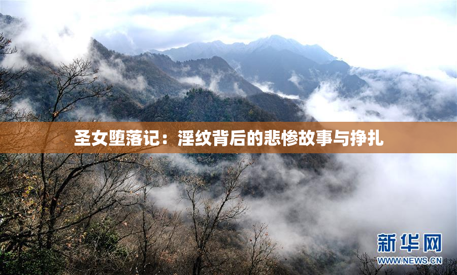 圣女堕落记：淫纹背后的悲惨故事与挣扎