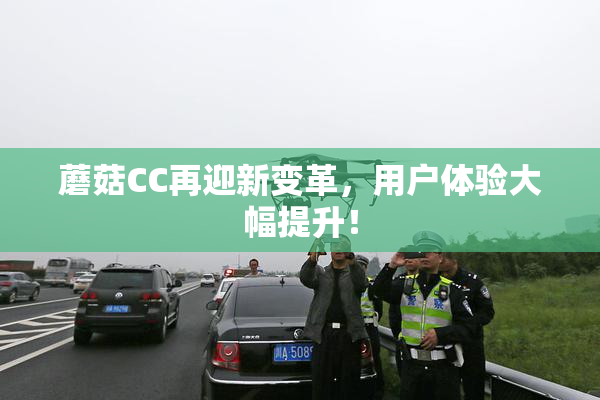 蘑菇CC再迎新变革，用户体验大幅提升！