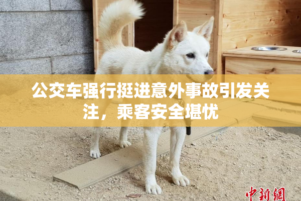 公交车强行挺进意外事故引发关注，乘客安全堪忧