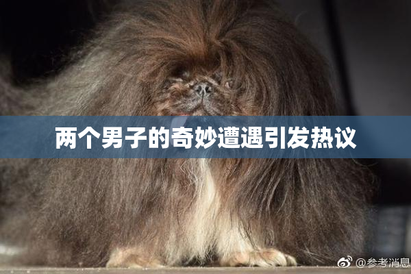 两个男子的奇妙遭遇引发热议