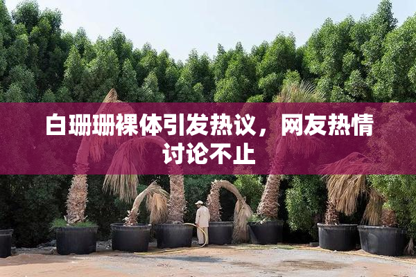 白珊珊裸体引发热议，网友热情讨论不止