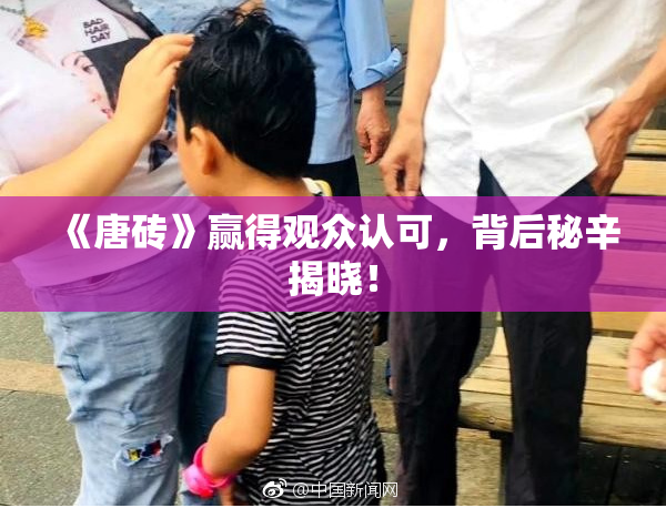 《唐砖》赢得观众认可，背后秘辛揭晓！