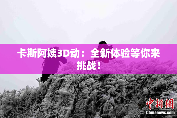 卡斯阿姨3D动：全新体验等你来挑战！