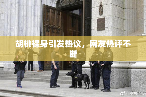 胡桃裸身引发热议，网友热评不断
