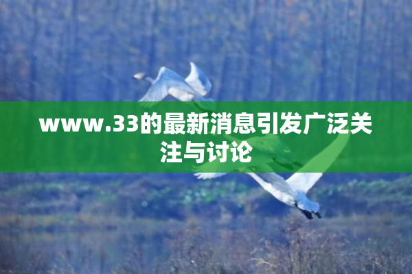 www.33的最新消息引发广泛关注与讨论