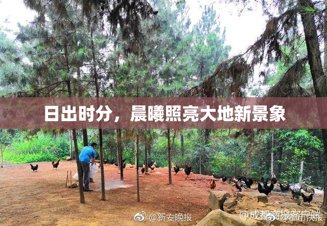 日出时分，晨曦照亮大地新景象