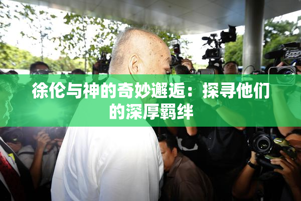 徐伦与神的奇妙邂逅：探寻他们的深厚羁绊