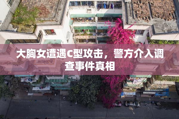 大胸女遭遇C型攻击，警方介入调查事件真相