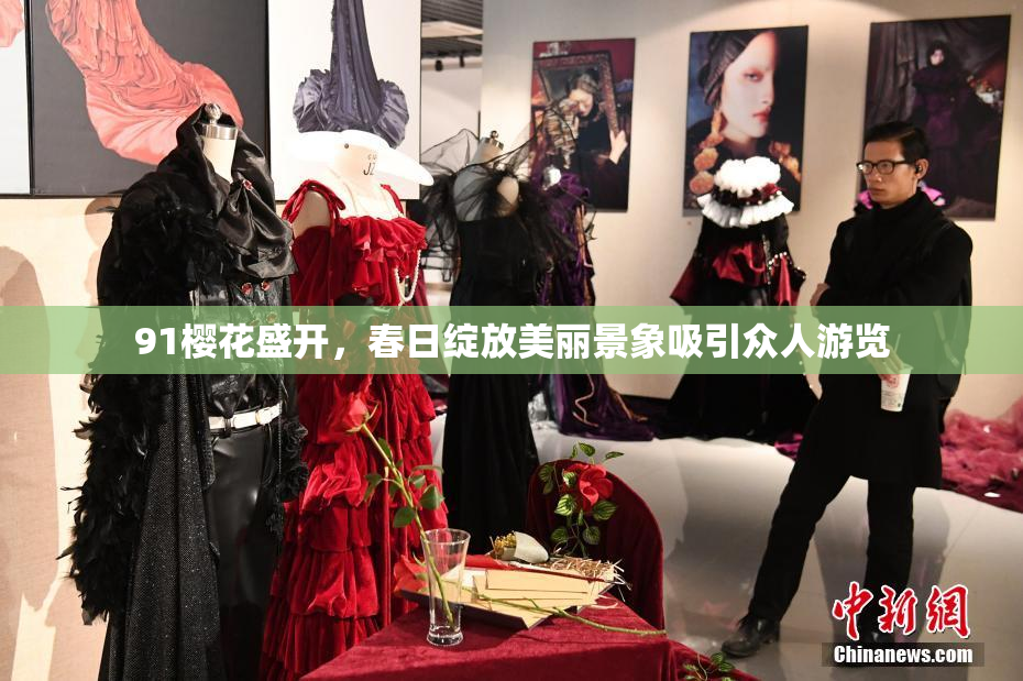 91樱花盛开，春日绽放美丽景象吸引众人游览