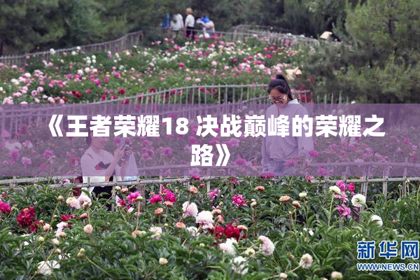 《王者荣耀18 决战巅峰的荣耀之路》