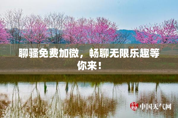 聊骚免费加微，畅聊无限乐趣等你来！