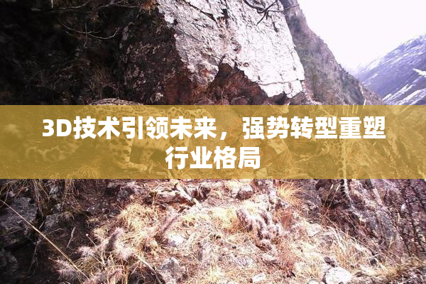 3D技术引领未来，强势转型重塑行业格局