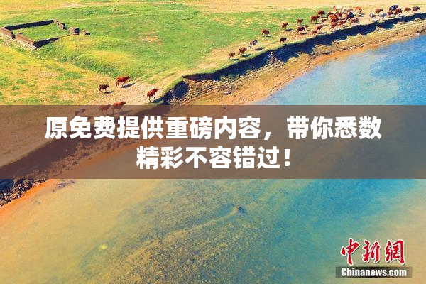 原免费提供重磅内容，带你悉数精彩不容错过！