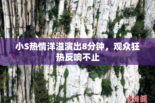 小S热情洋溢演出8分钟，观众狂热反响不止